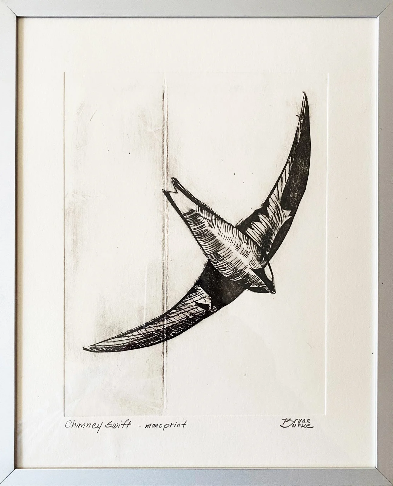 CHIMNEY SWIFT copy-pa.jpg