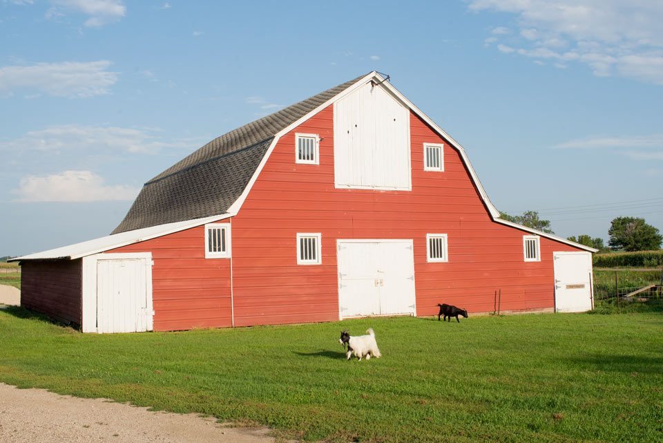 The Barn