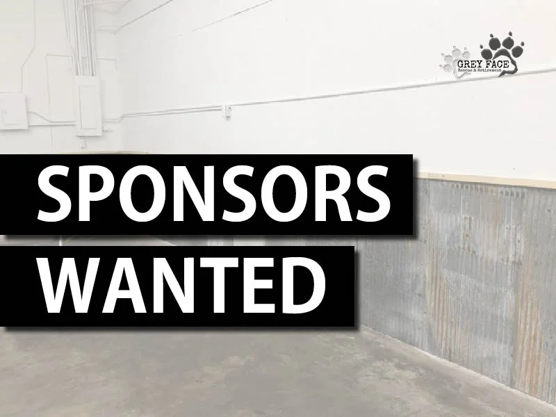 Sponsors Wanted.jpg