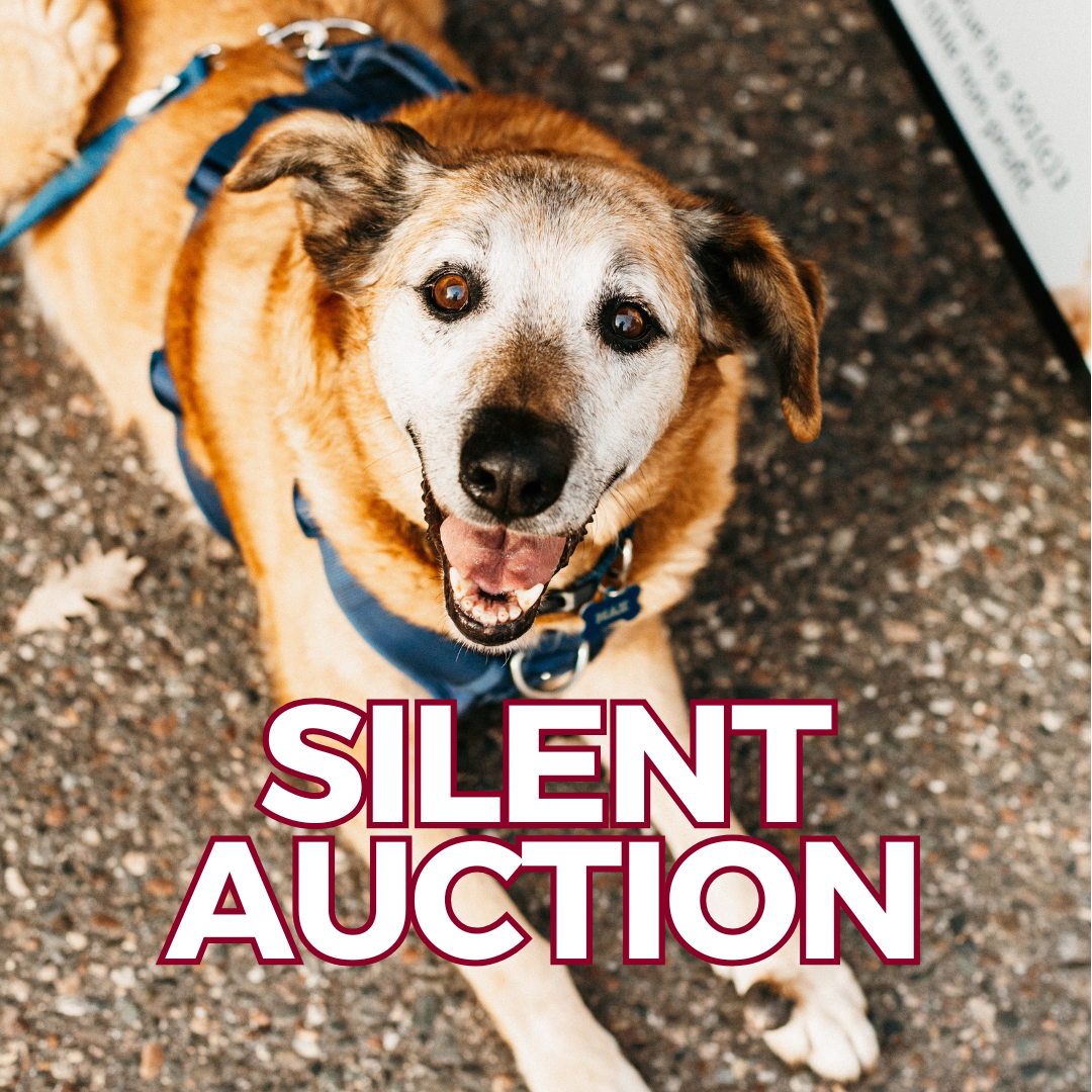 BWA Silent Auction.png