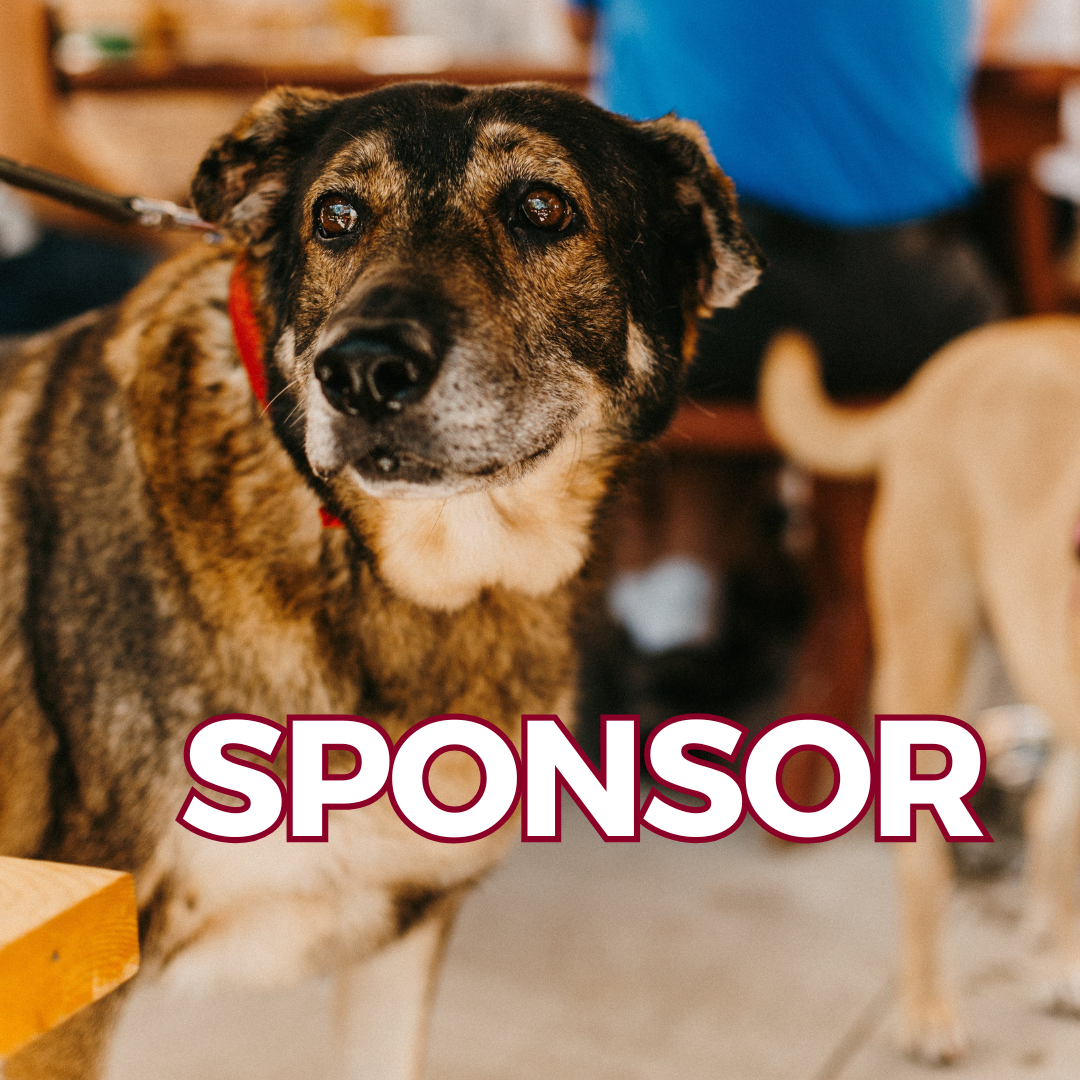 BWA Sponsor.png