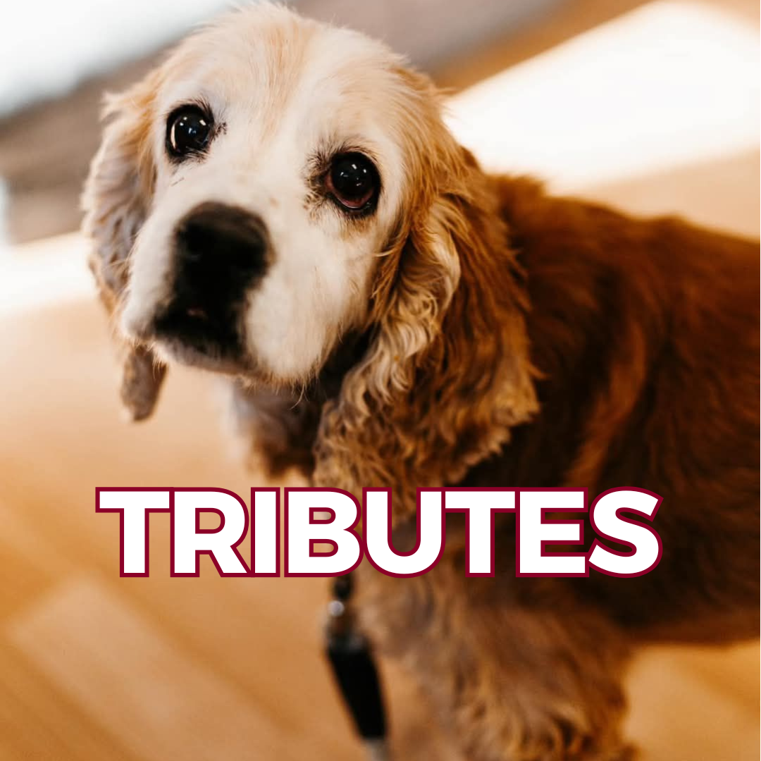 BWA Tributes.png