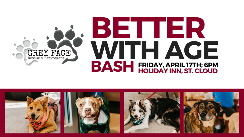 Better With Age Tributes — Grey Face Rescue & Retirement