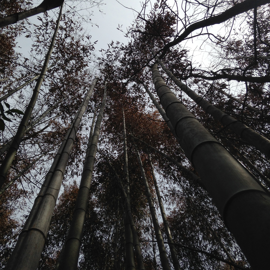 PHOTO FROM THE SORCE