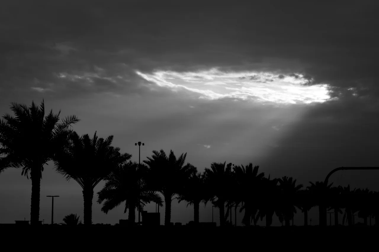 PAPAS_BW_002.jpg