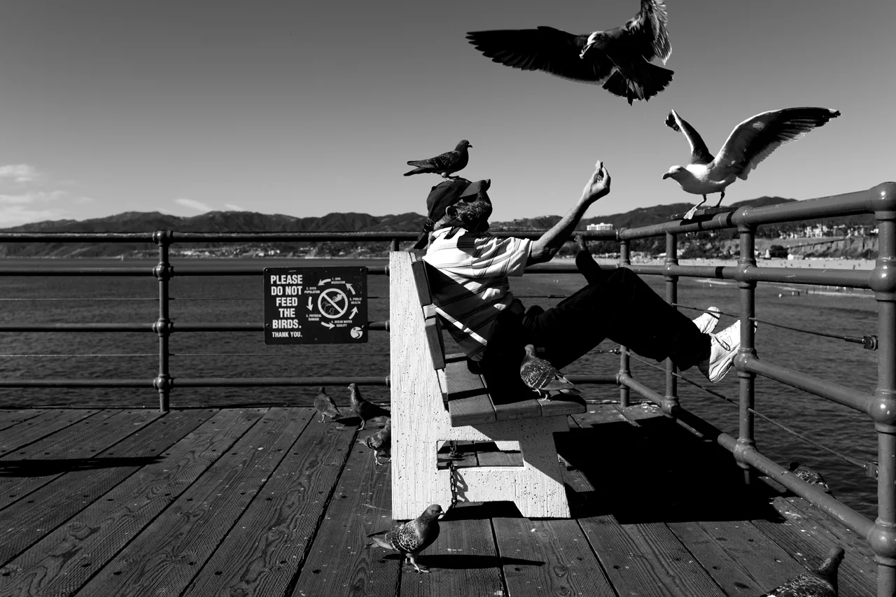 PAPAS_BW_005.jpg