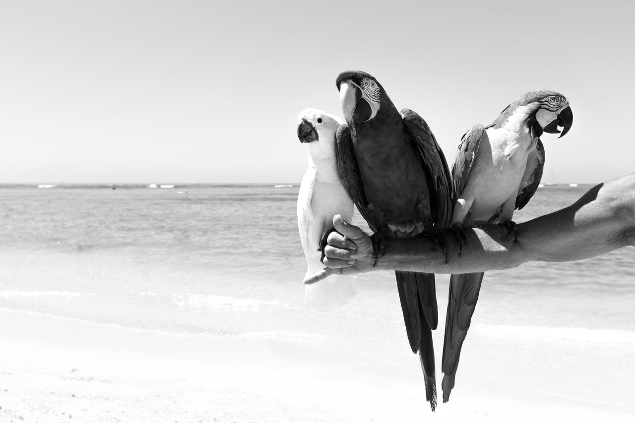 PAPAS_BW_013.jpg