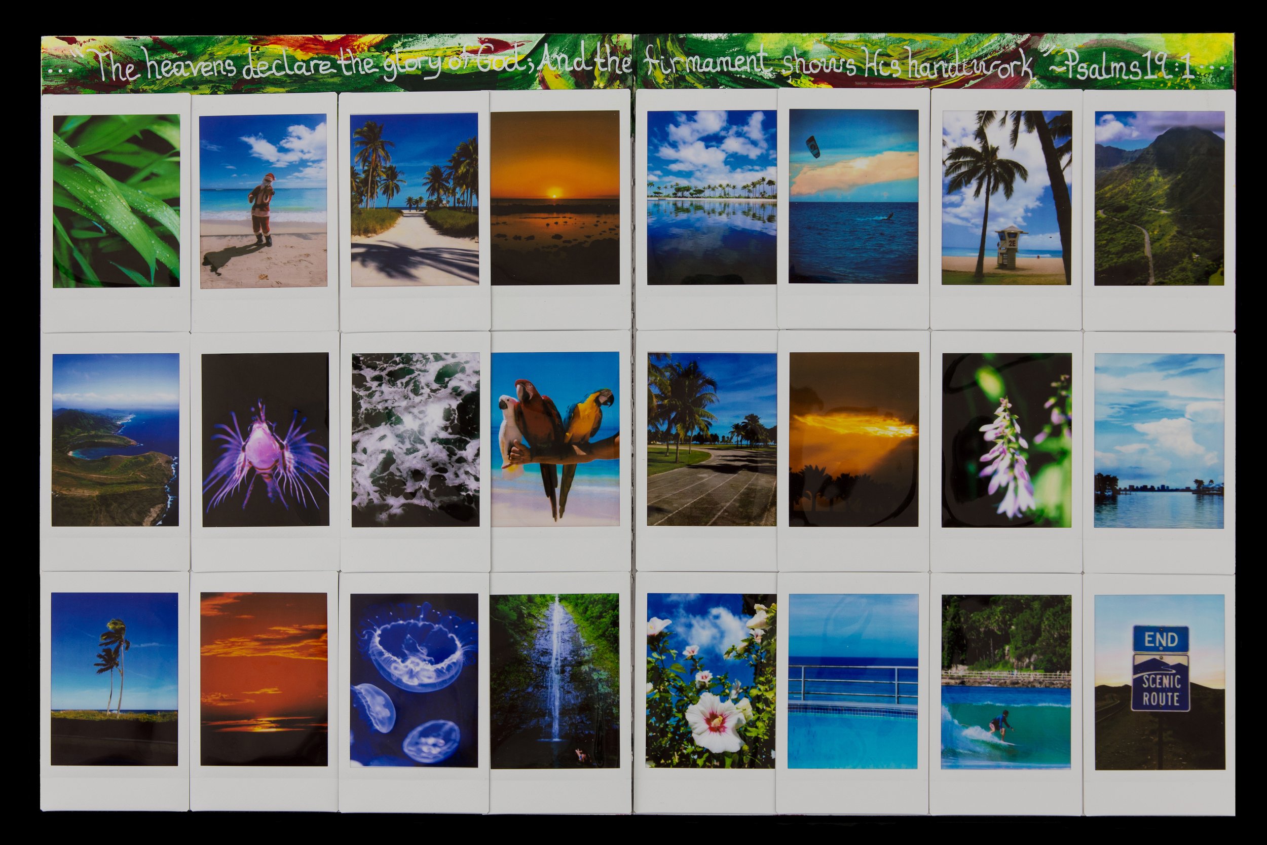PAPAS_Tropics+Nature_JS_2x3.jpg