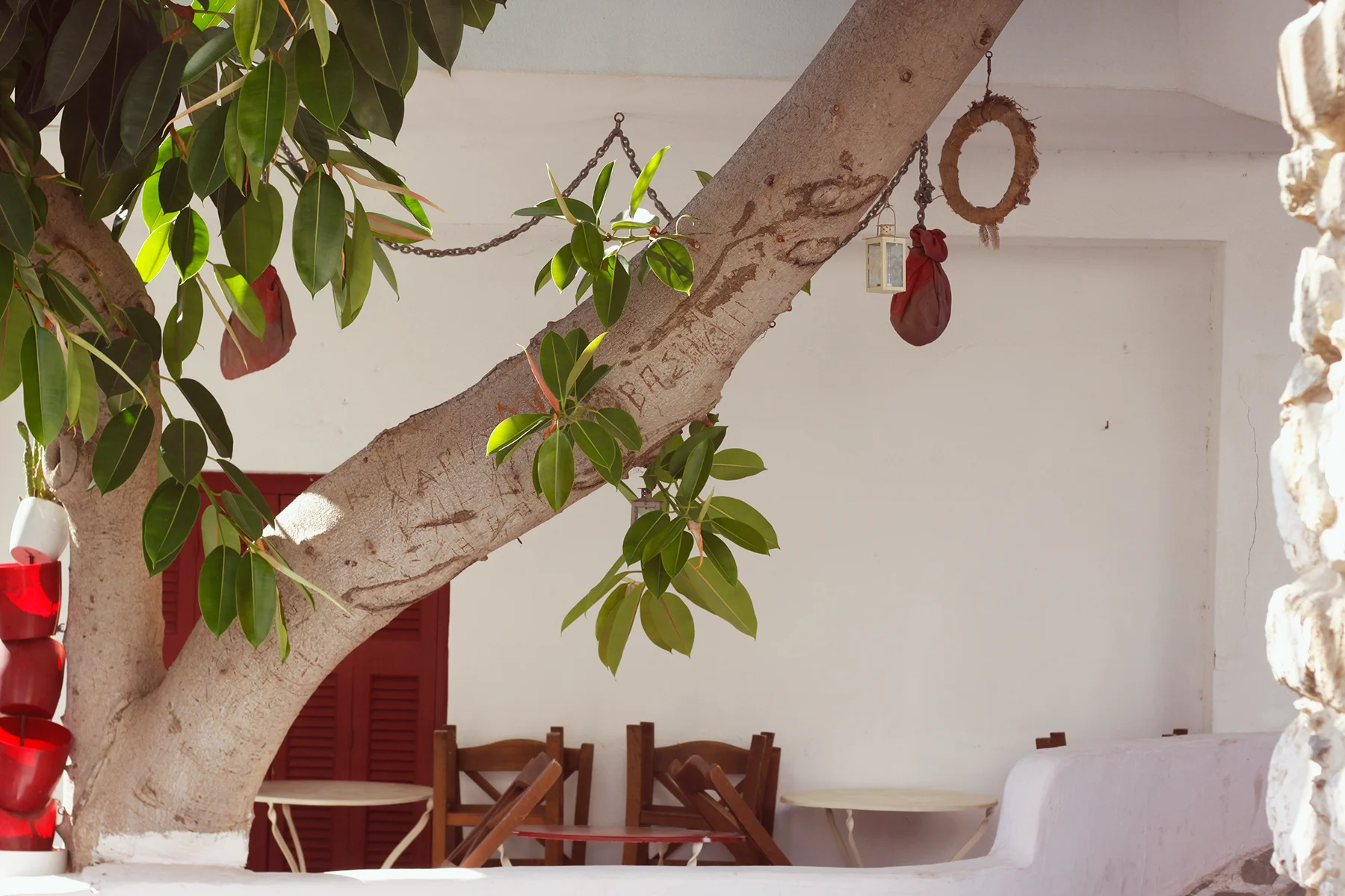 naxos_8946.jpg