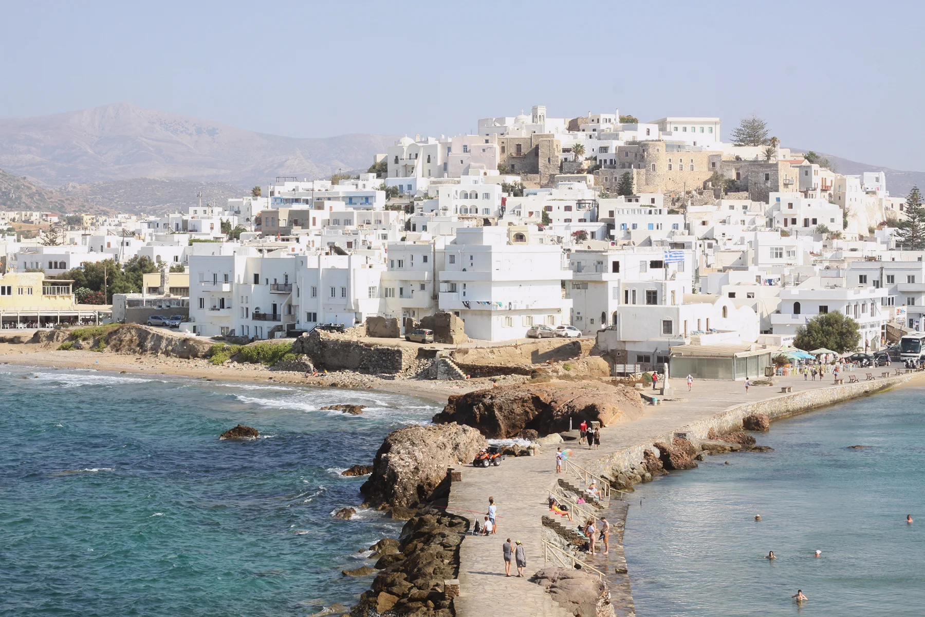 naxos_9005.jpg
