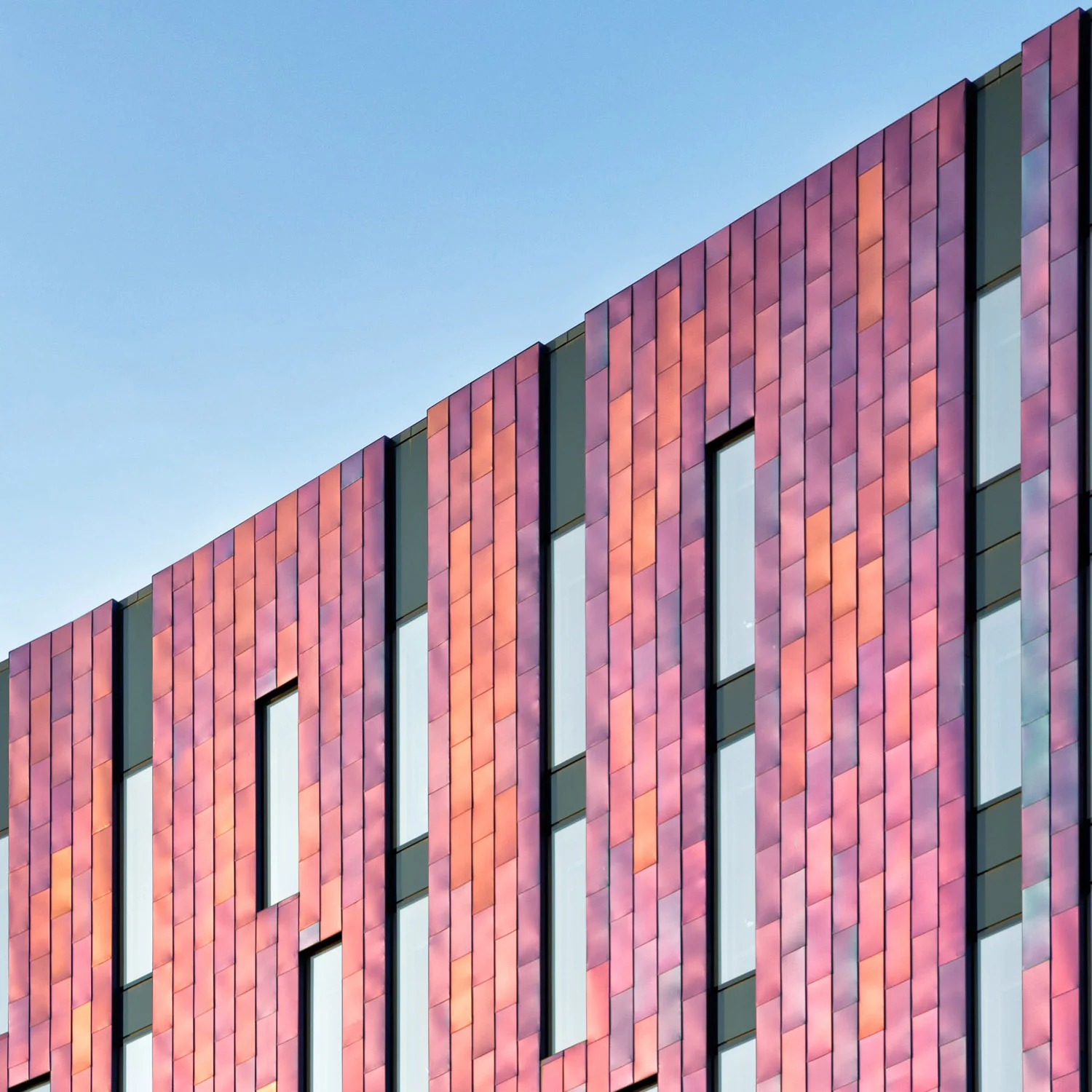  Aloft London Excel by Architectural Photographer Joas Souza 