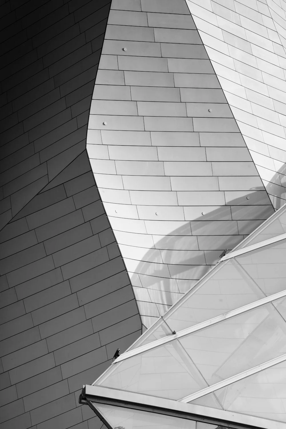 Fondation Louis Vuitton - Photo by Joas Souza