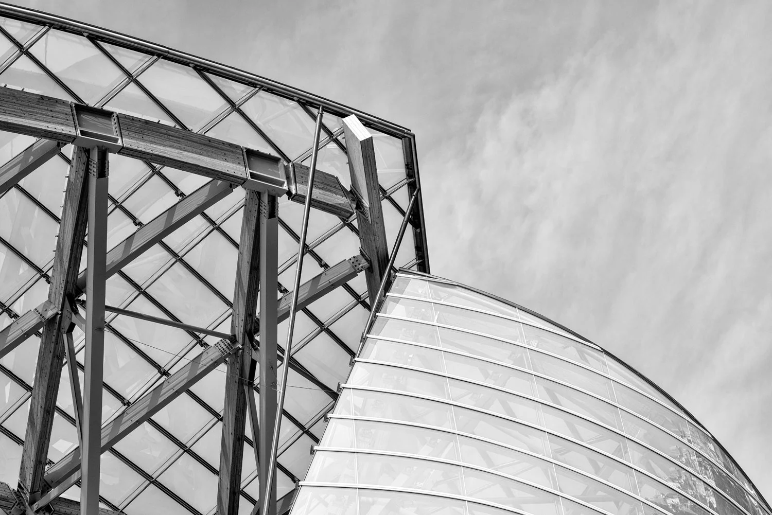 Fondation Louis Vuitton - Photo by Joas Souza