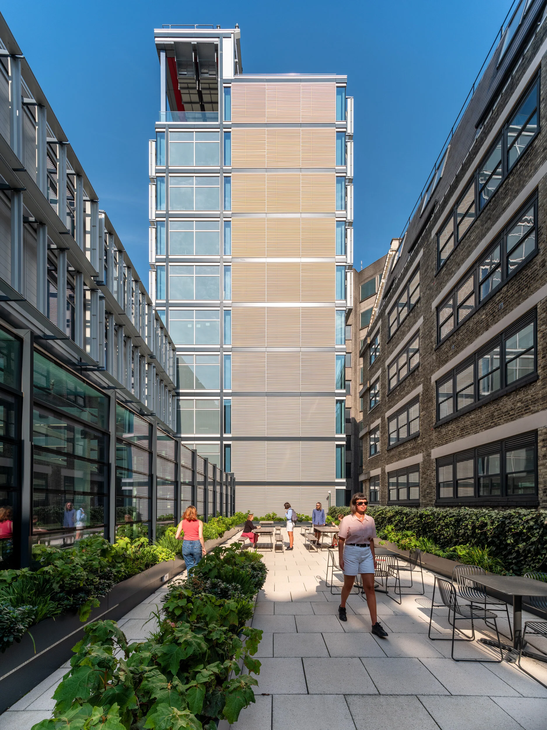  Rogers Stirk Harbour + Partners,  Centre Buildings Redevelopment at The London School of Economics (LSE) - Photography by Joas Souza 