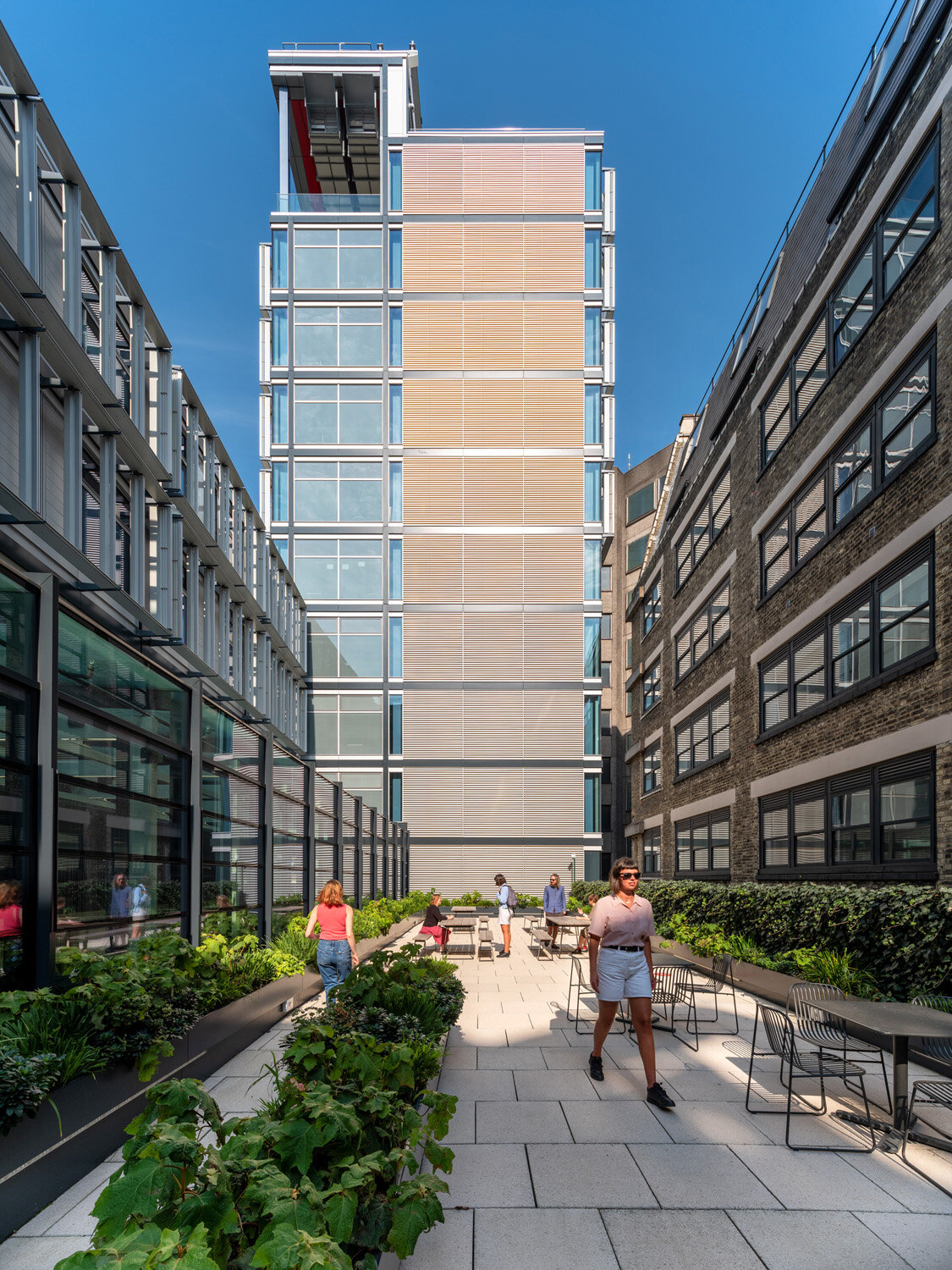  Rogers Stirk Harbour + Partners,  Centre Buildings Redevelopment at The London School of Economics (LSE) - Photography by Joas Souza 