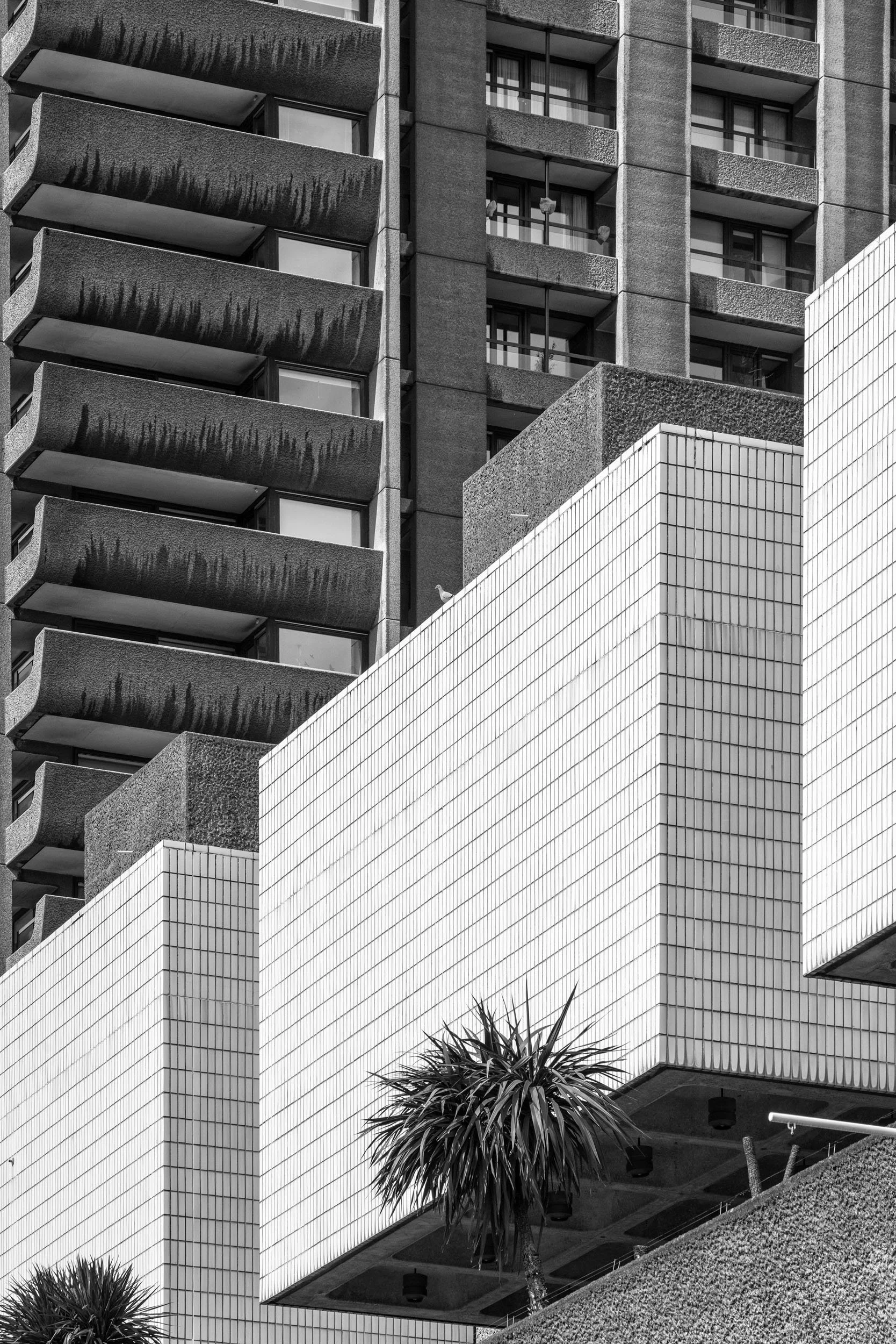 architectural-photography-barbican-estate-brutalist-chamberlin-powell-bon-london-exterior-16.jpg