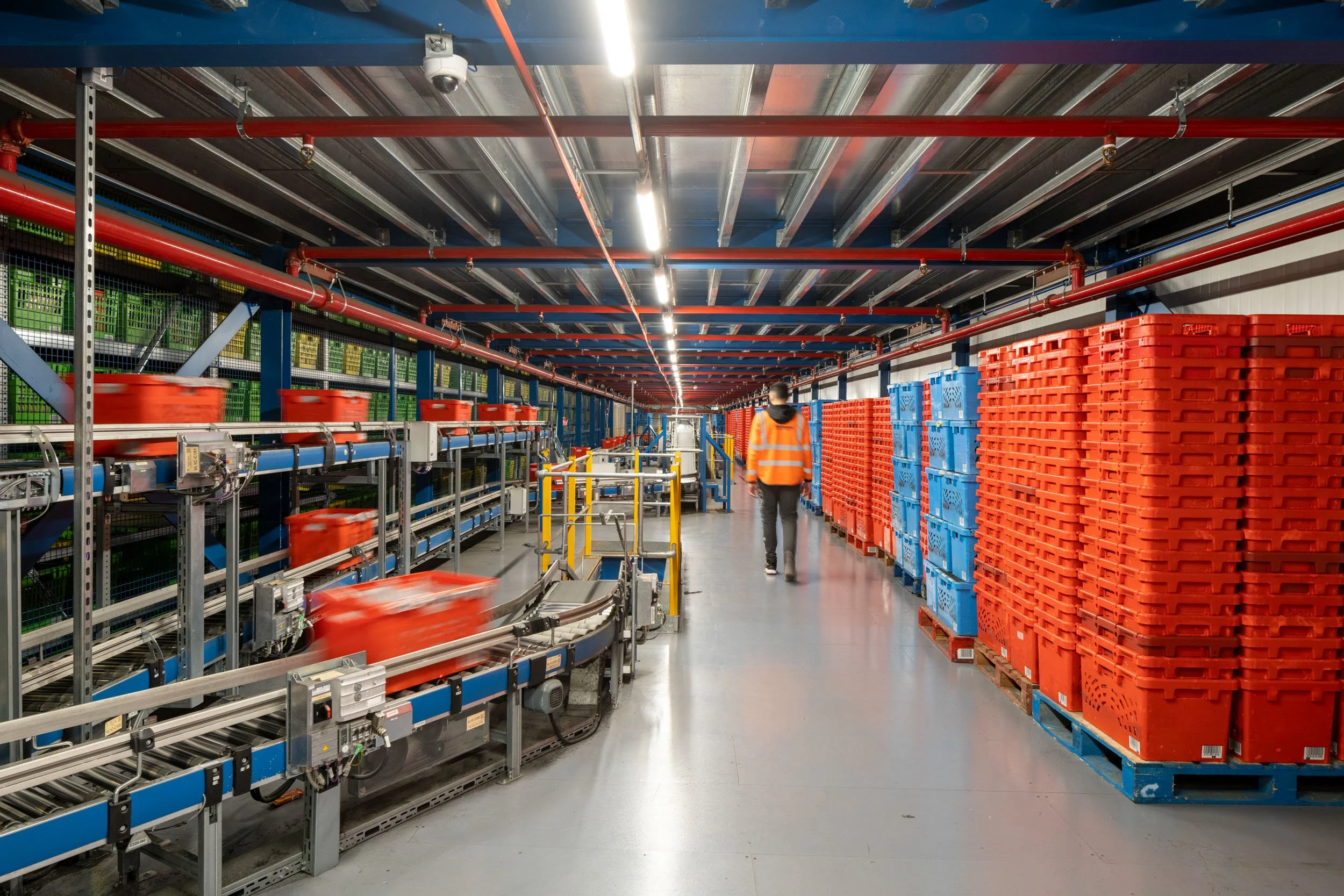 automated-logistics-fulfilment-centre-hatfield-090.jpg