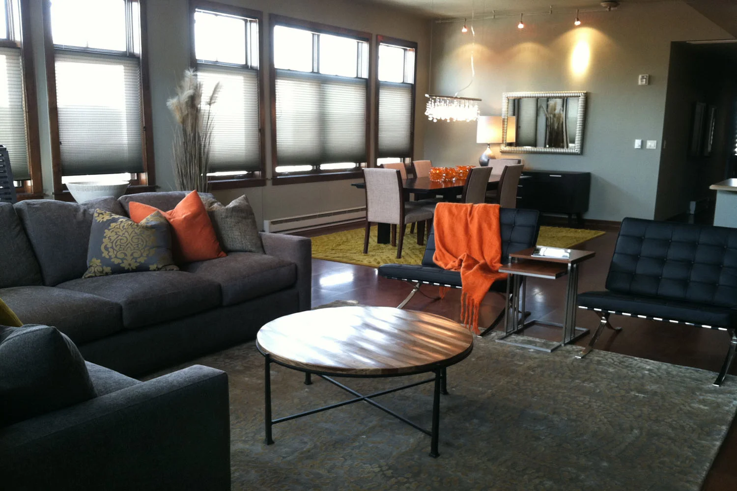 howelsen_place_living2.jpg