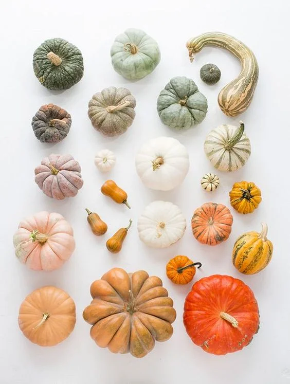 photo via 100 Layer Cake