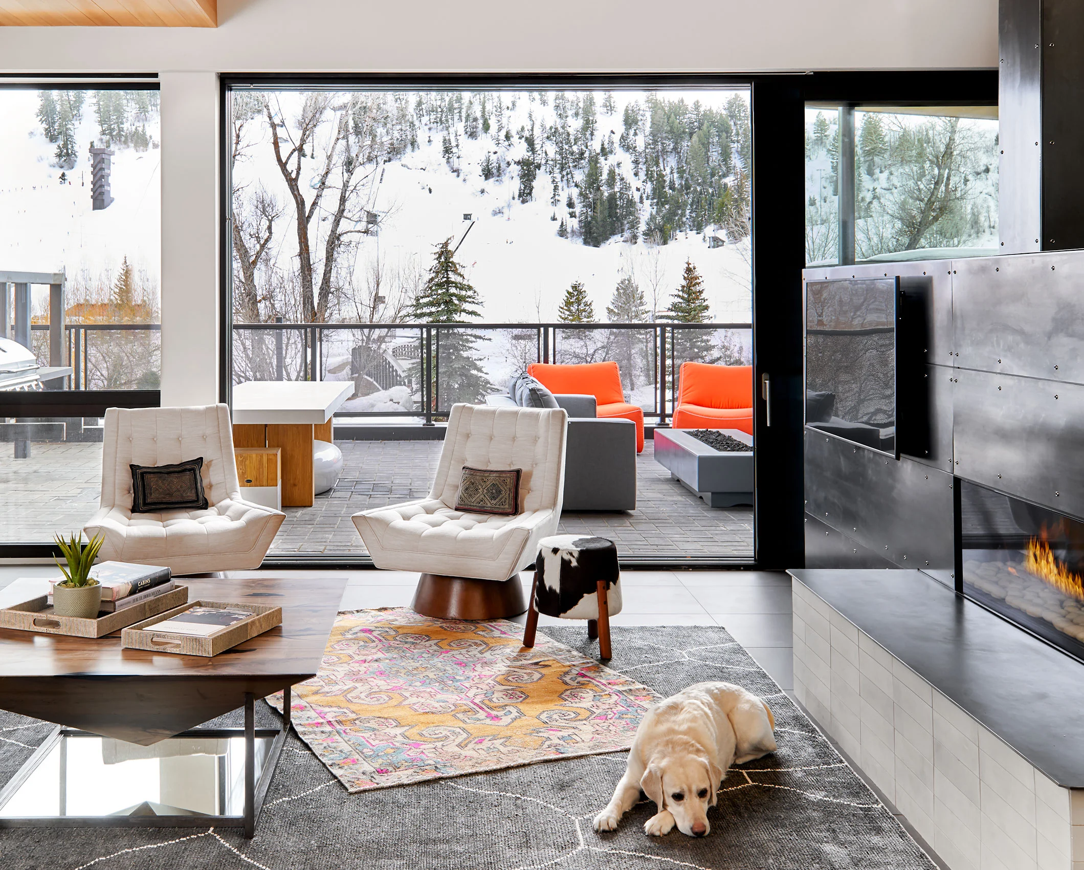 Rumor-910-Yampa-03-21-19-Living-W-Howleson-View-Dog-Web.jpg