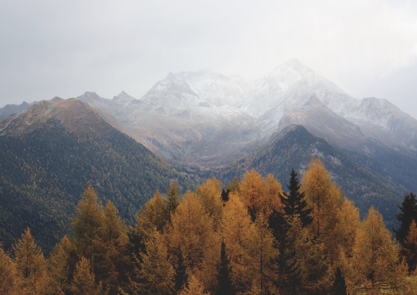 Screen Shot 2024-10-29 at 2.47.45 PM.png