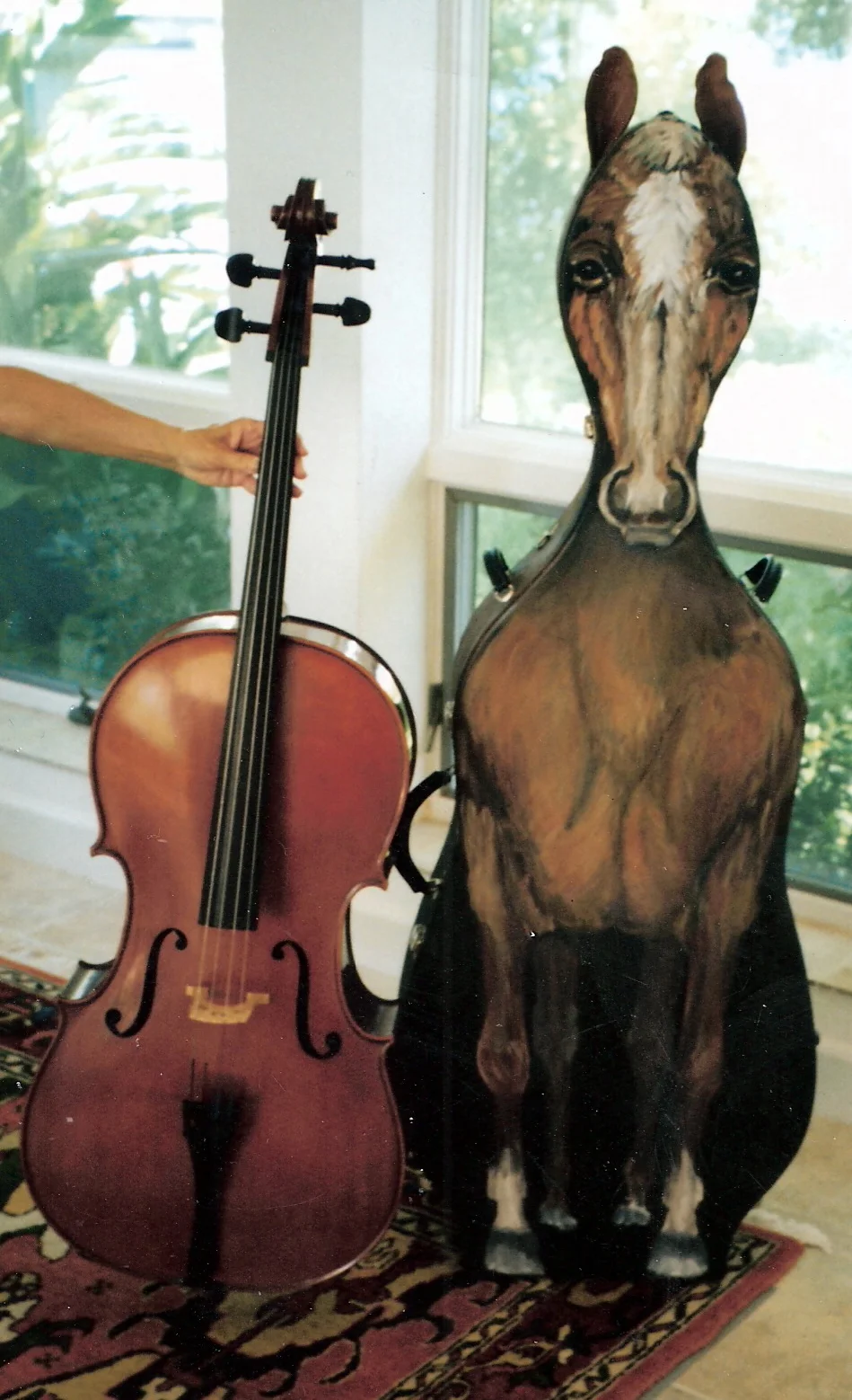 cello_horse_front.JPG