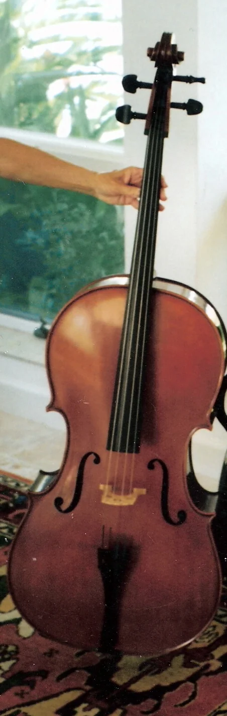cello_horse_front.JPG