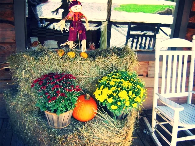 fall-at-trust-2009-013.jpg