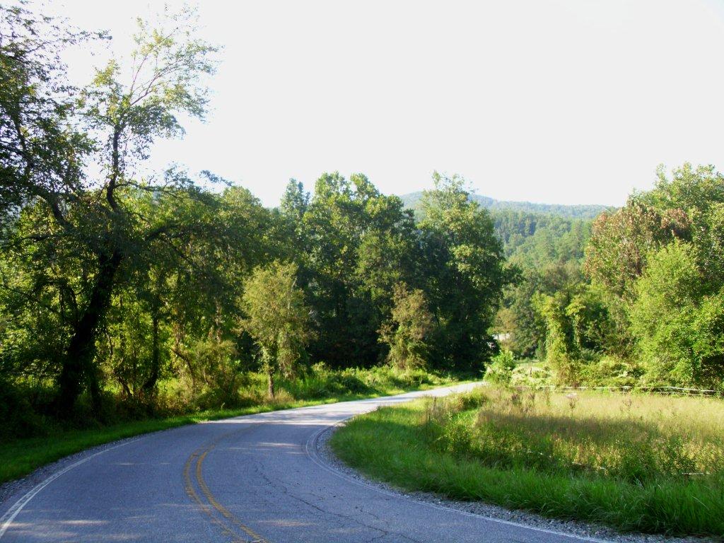 shiners_018.jpg