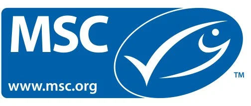 MSC_English.jpg