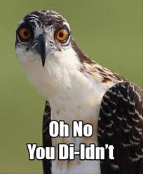 Yeah, this is what my crazy mama eyes look like. 