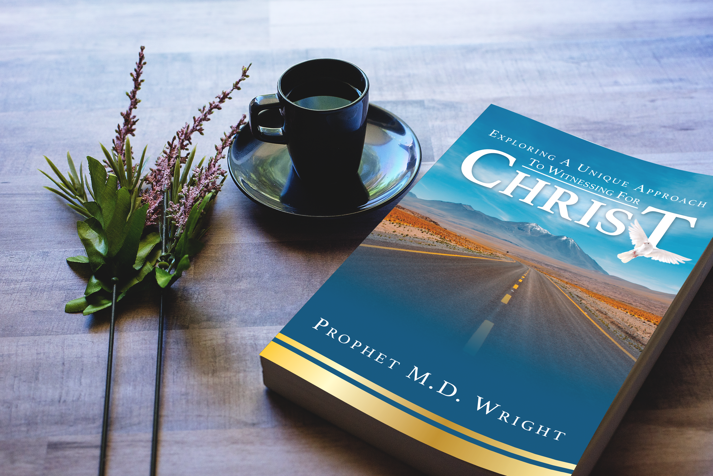 Witnessing for Christ Book Cover Mockup.png