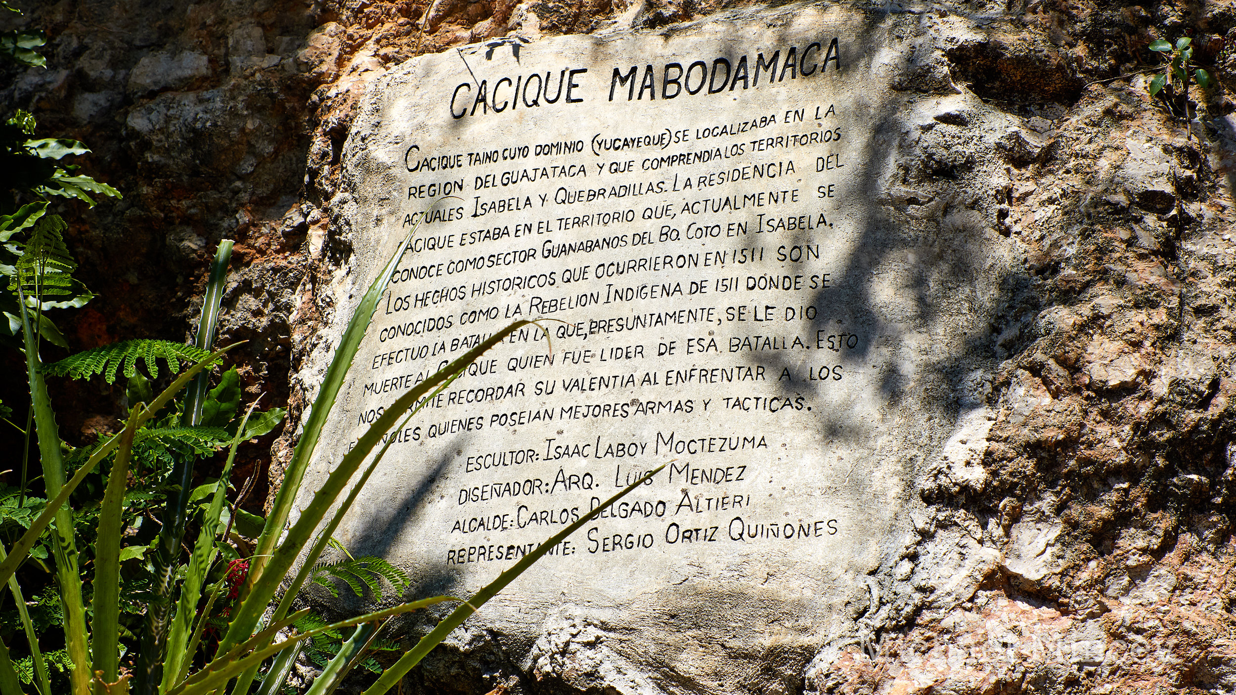 552A3901.jpg