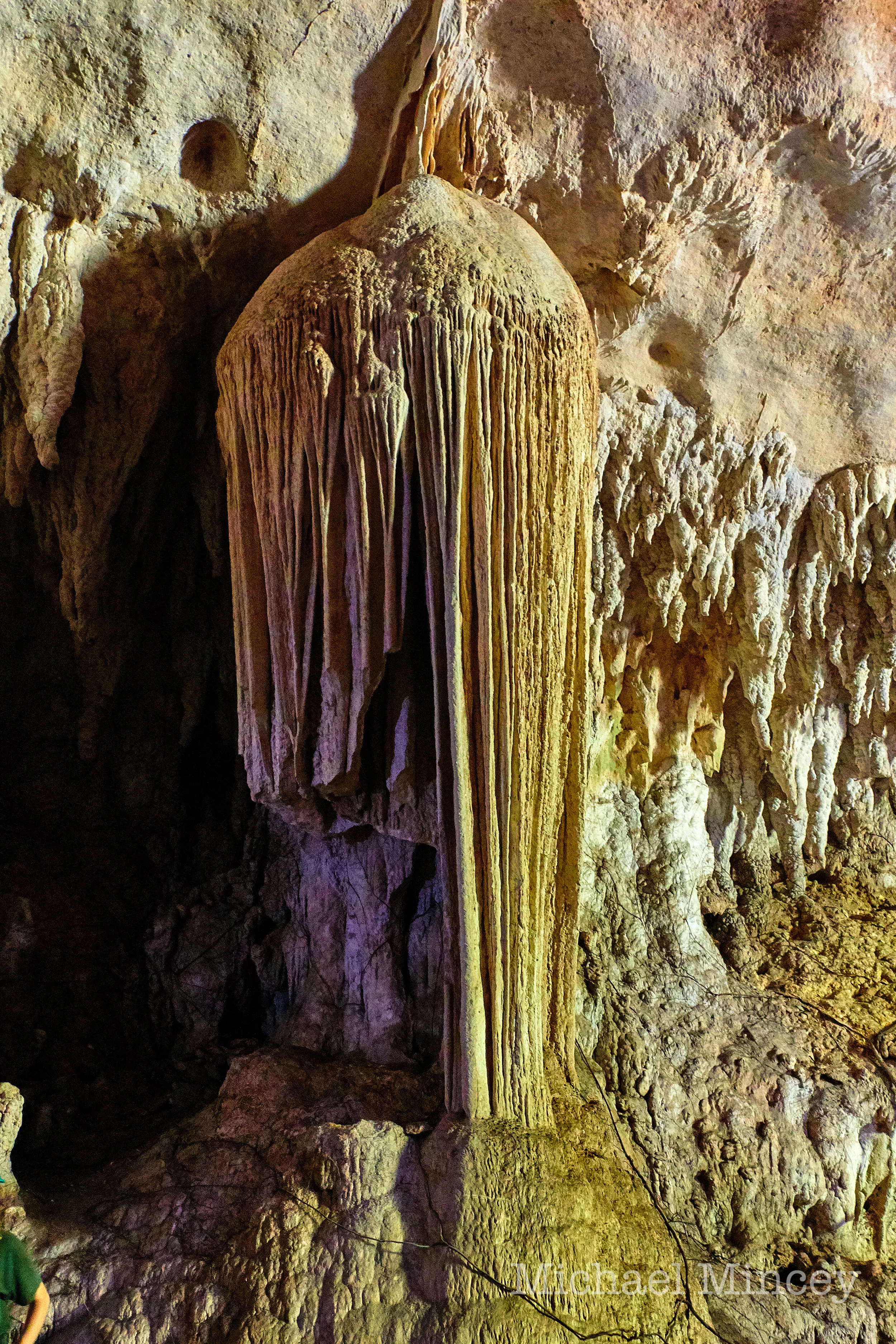 552A4229.jpg