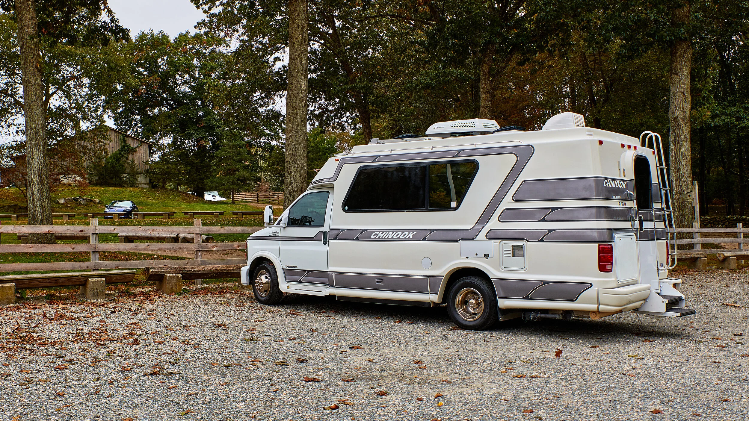 552A6236.jpg