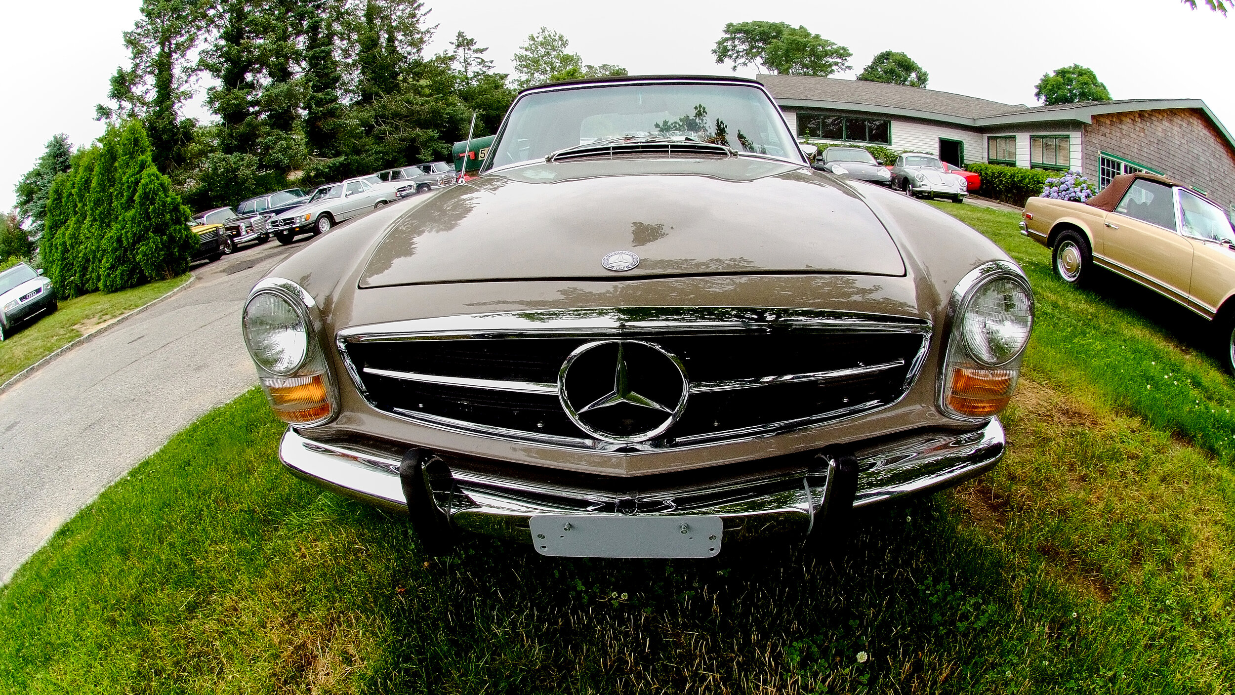 DSCF4995.jpg