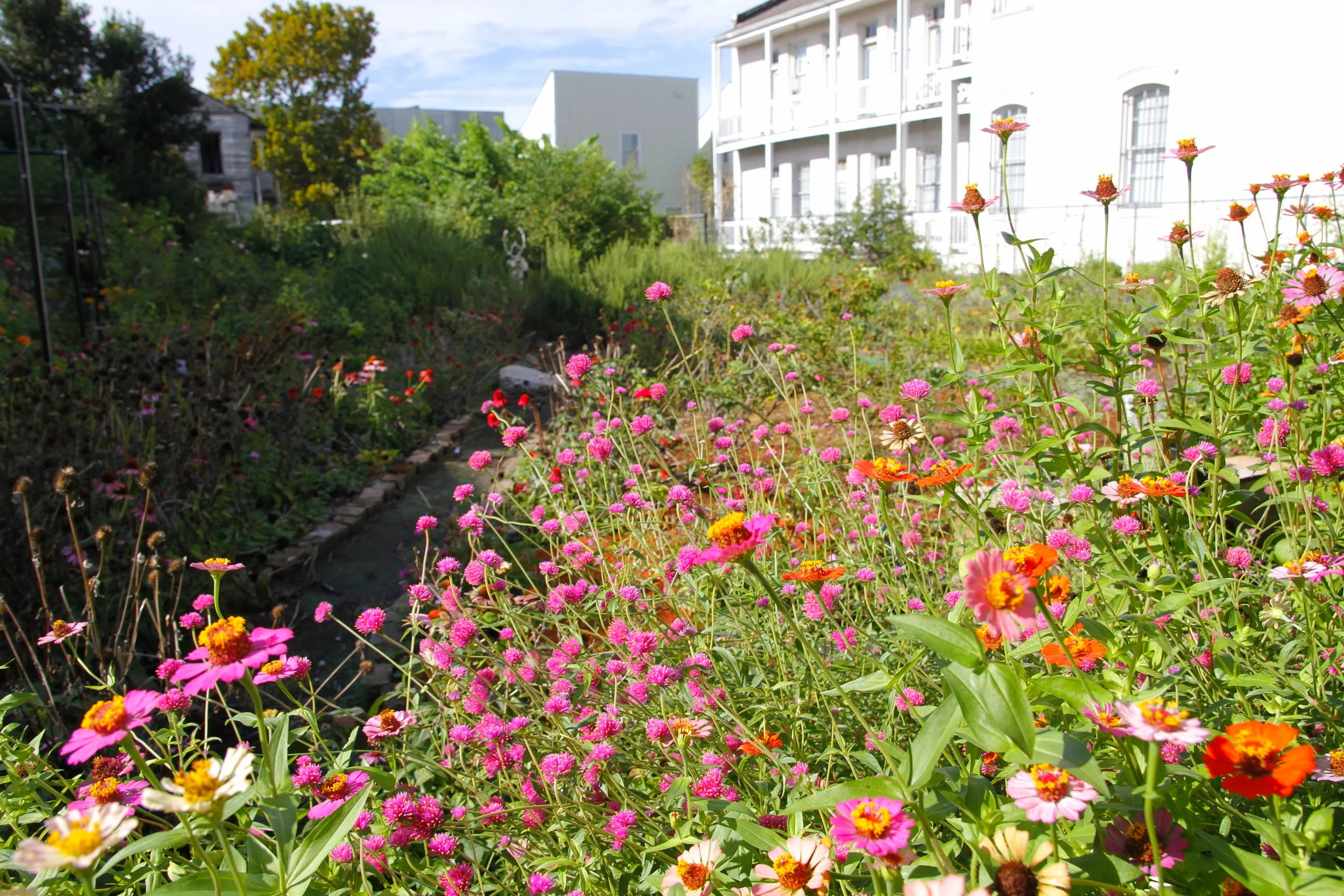 garden-baronne.JPG