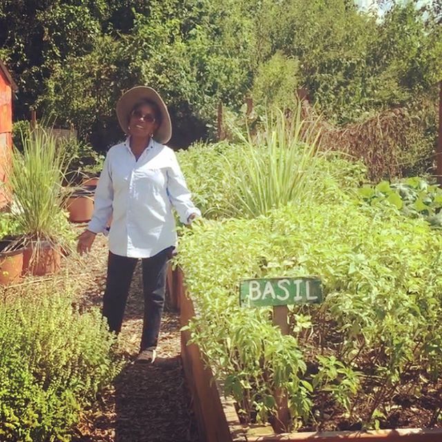 We're hosting a free spring gardening workshop this Saturday from 9-11am at our new garden in the Lower 9! 5326 N Galvez St. Come join us for free seeds and gardening tips from Miss Jeanette!