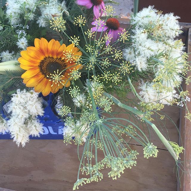 Our herbal bouquets are in bloom this morning! Cilantro &amp; fennel flowers, rosemary, tea tree and echinacea 🌼. Swing by our new garden (corner or Galvez &amp; Andry) from 9-11am today!