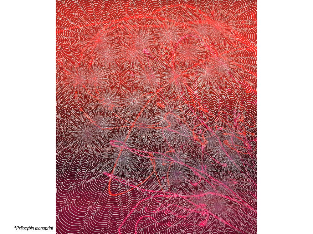 KB-Psilocybin (monoprint), 2014 (7521.01...7521.53).jpg