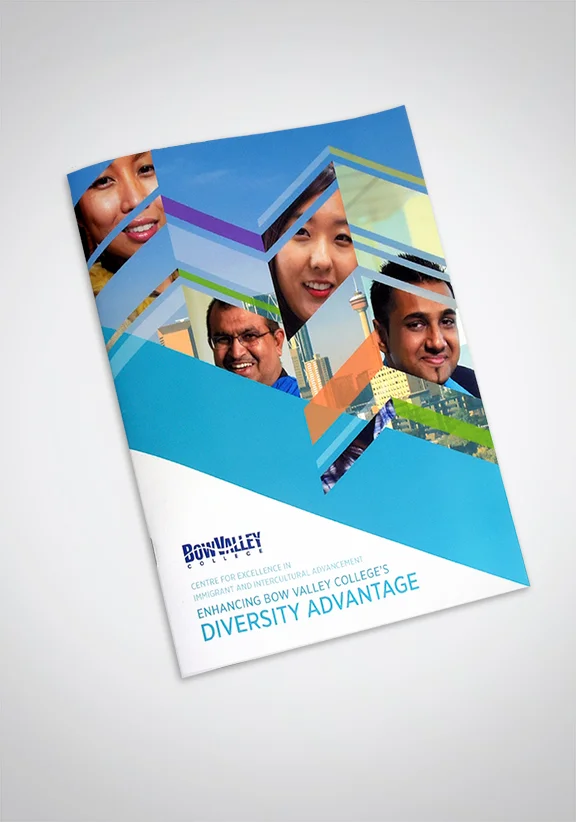 diversity_cover_mockup.jpg