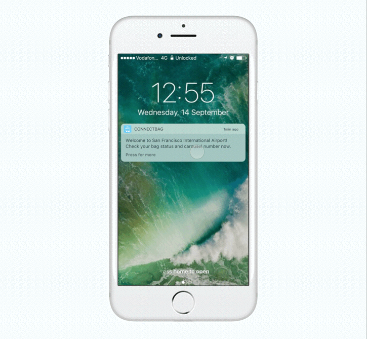 Use Case 1 After Flight Landing: From Notification to Homepage