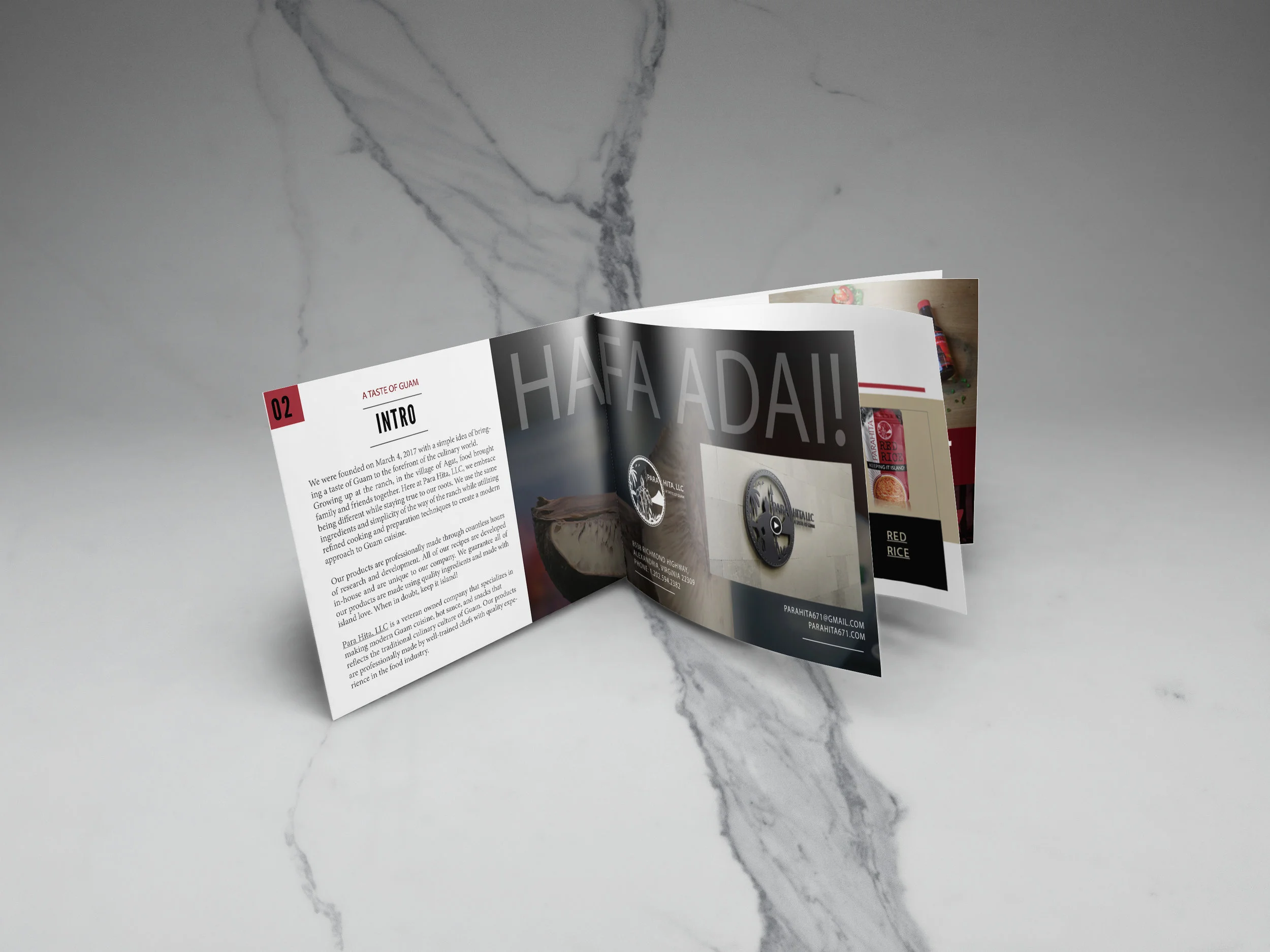 para-hita-media-kit-mockup-2.jpg