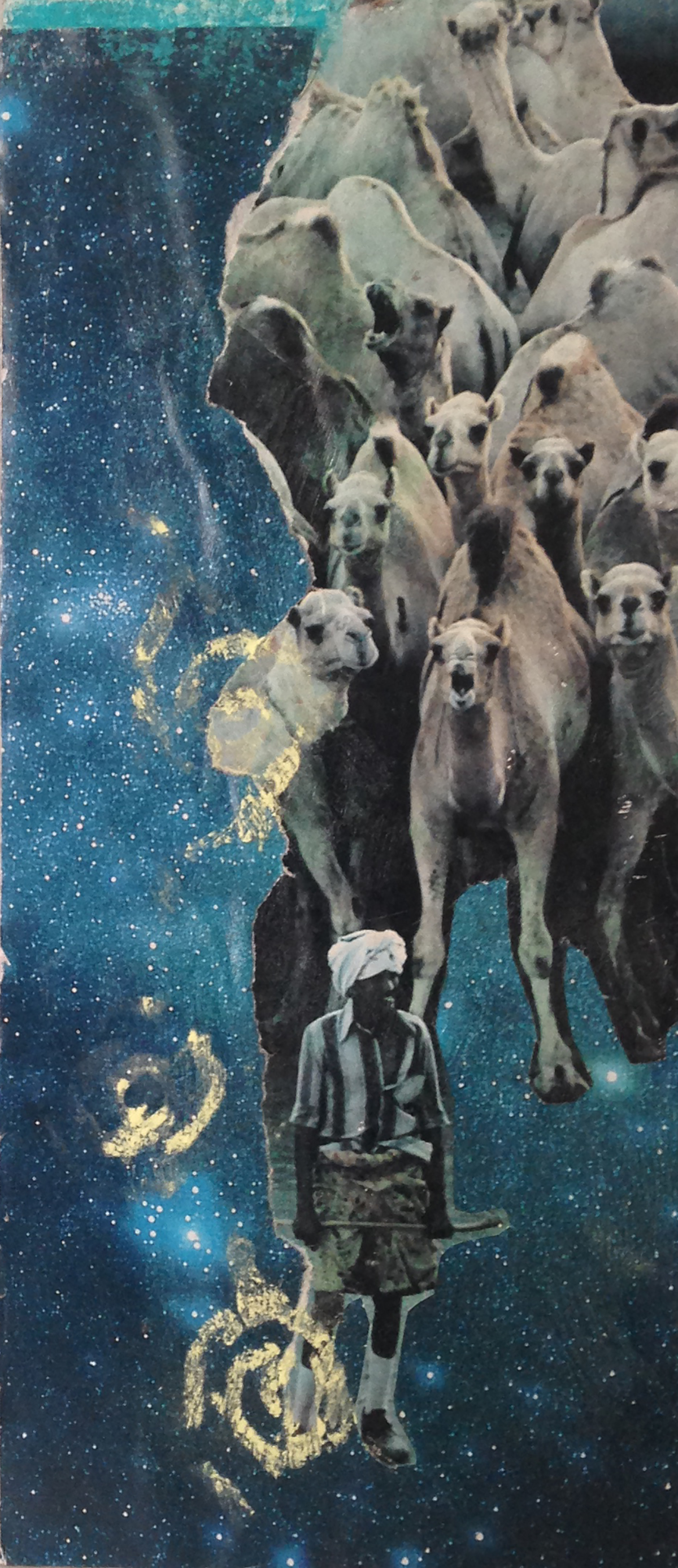 Rebecca Schultz.Camel Collage.jpg