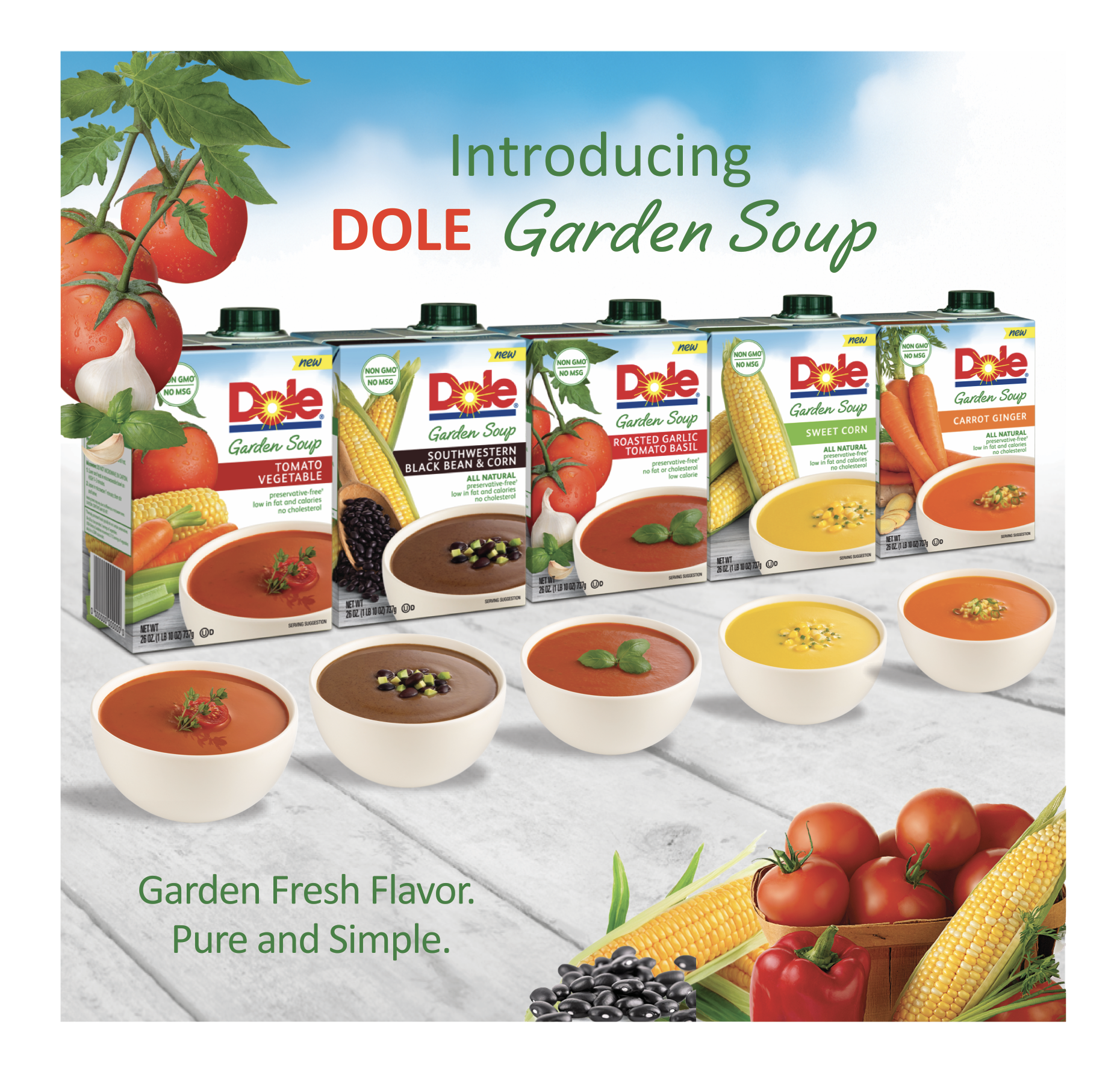 DOLE - NEW PRODUCT DISPLAY