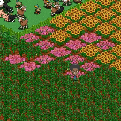 Visions of a Black Man