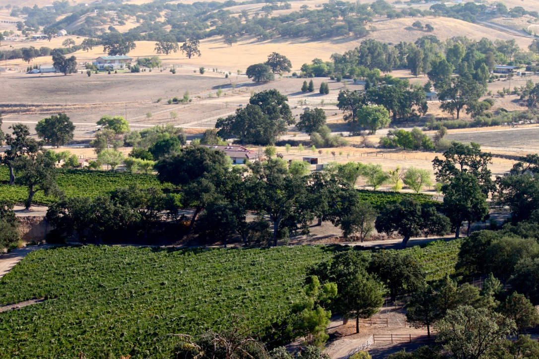 Our house with the red roof just beyond the vineyard