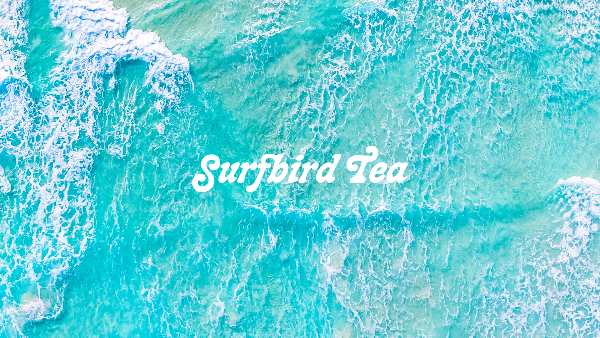 Surfbird.png
