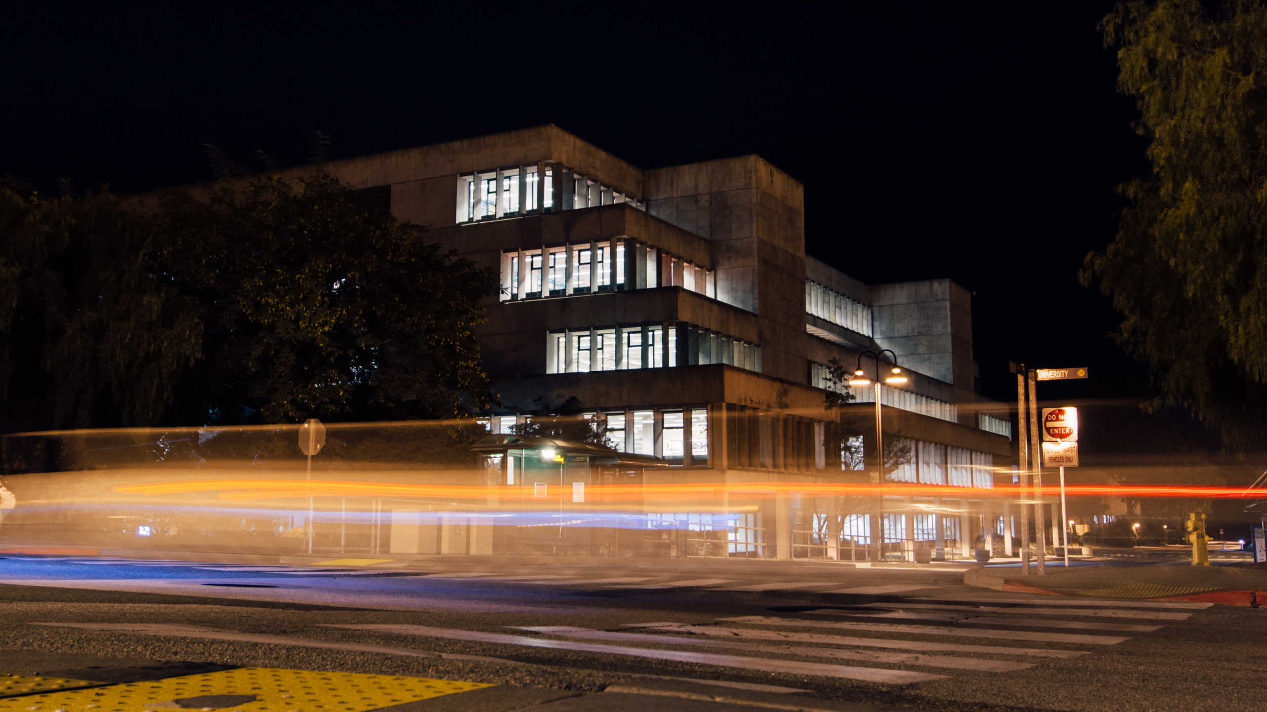 The Lib || 29/366