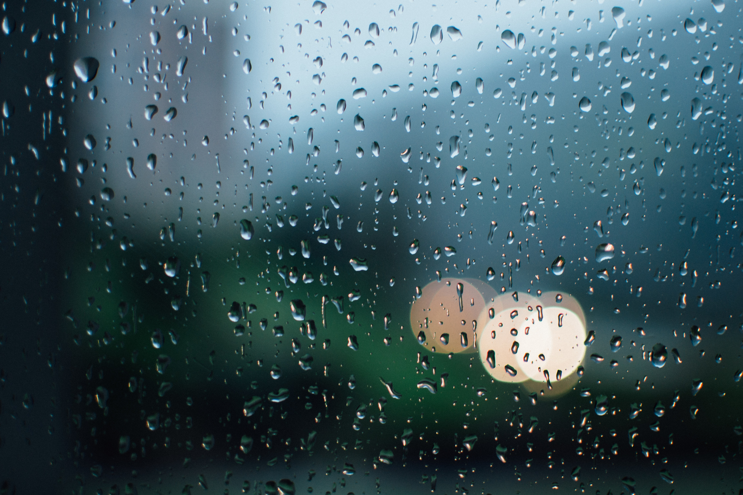 Rainy Sunday Mornings || 31/366